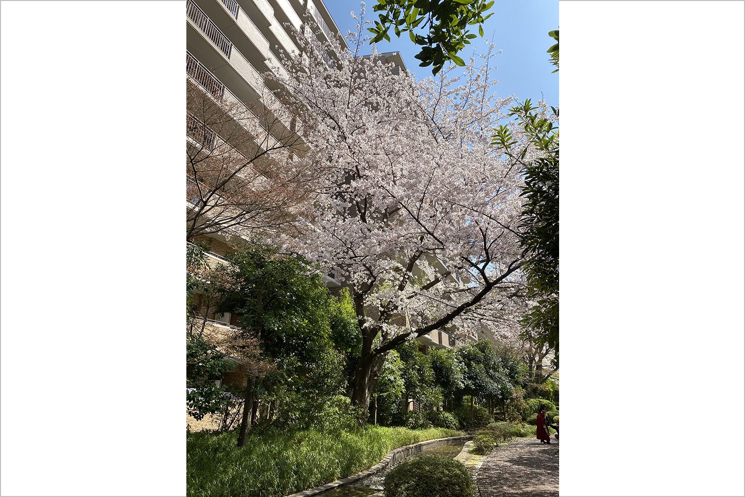 ガーデンスペース1