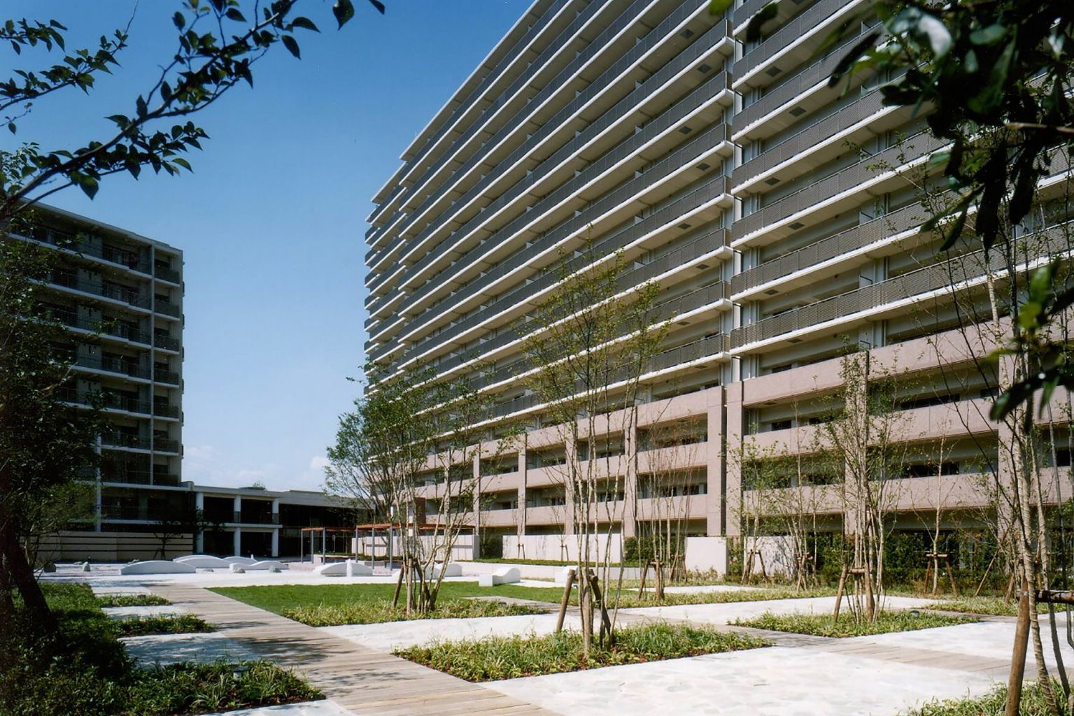 ニューロシティ