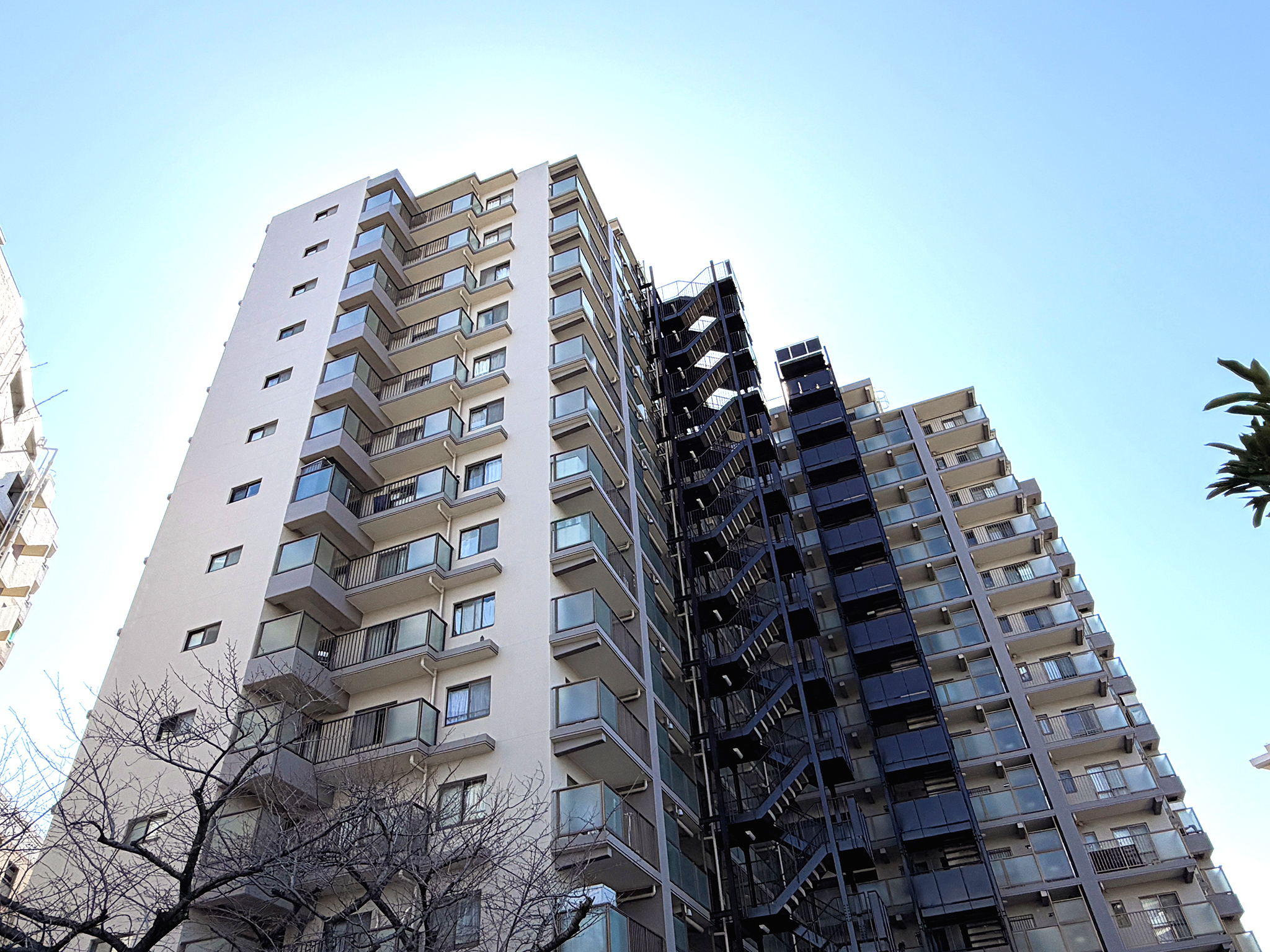 コープ野村大島